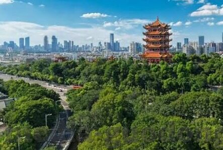 麻豆传媒苏清歌-探索麻豆传媒旗下——苏清歌的独特艺术之旅